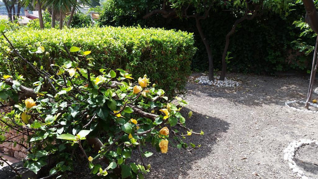Villa Carmelas Taormina Zewnętrze zdjęcie