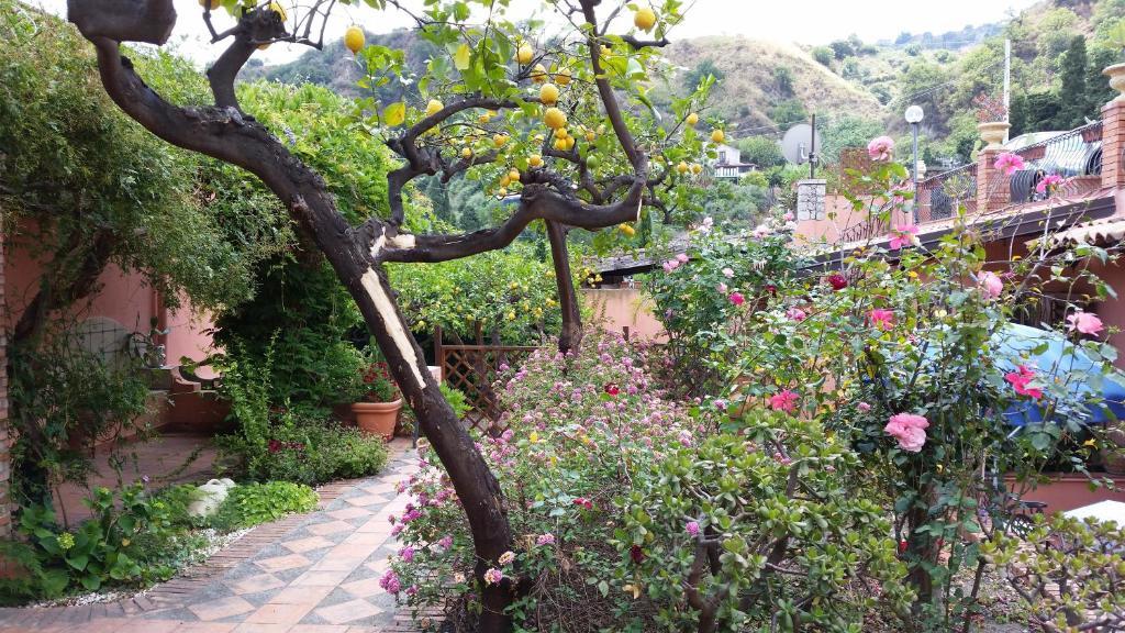 Villa Carmelas Taormina Zewnętrze zdjęcie
