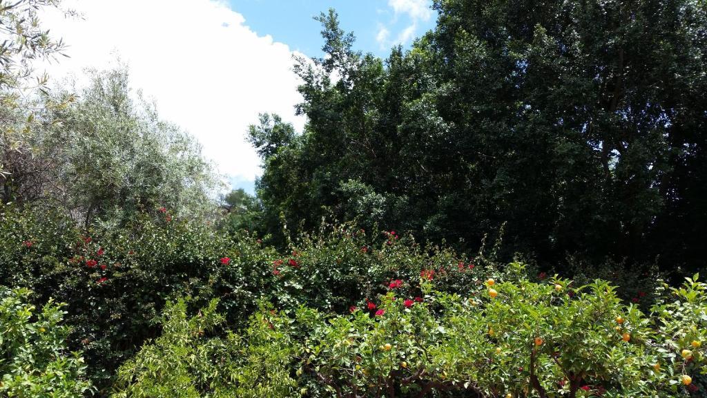 Villa Carmelas Taormina Zewnętrze zdjęcie